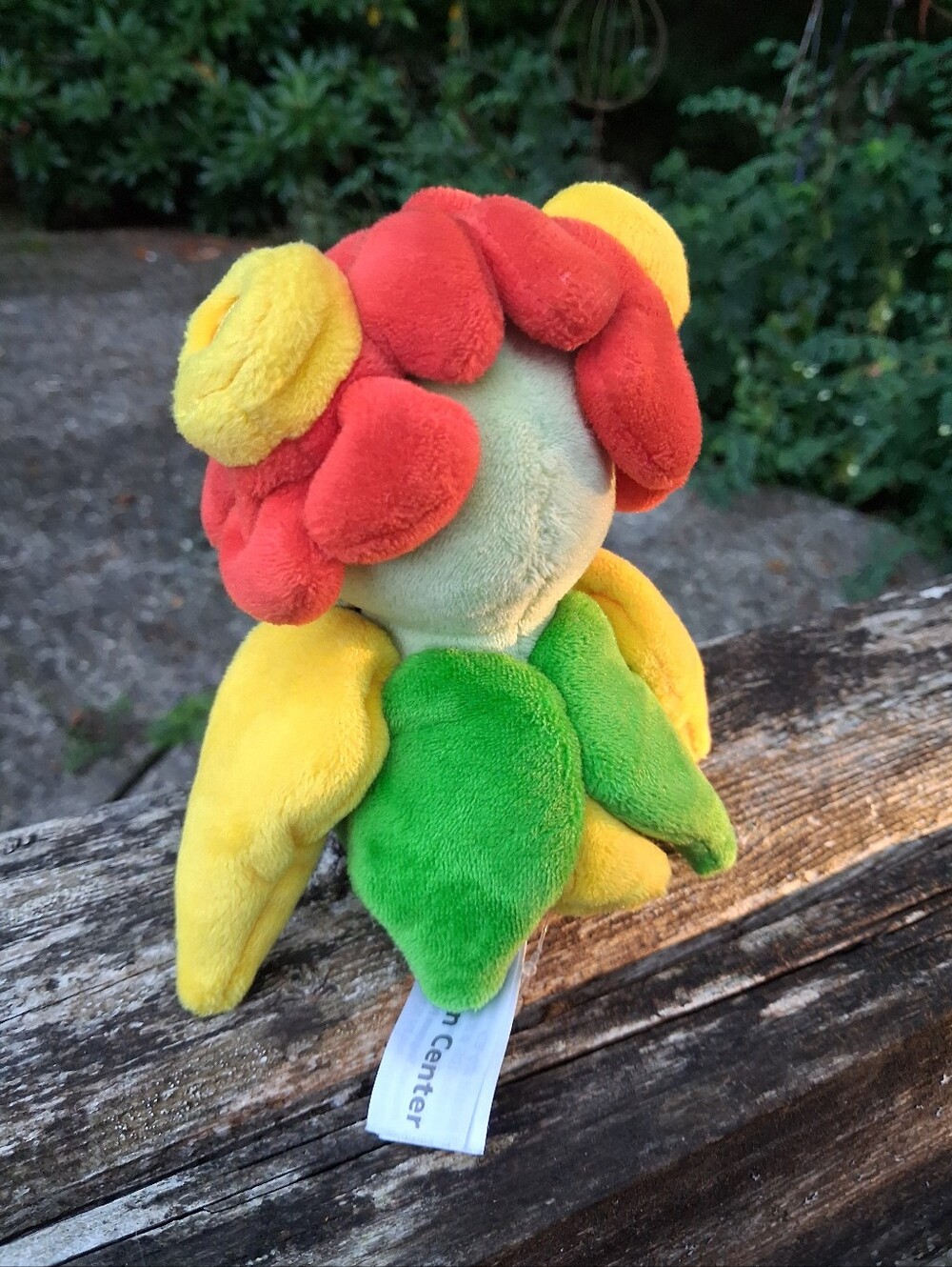 pokemon - Picture 2 of 3